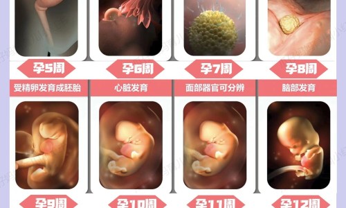 怀孕期间腰腿疼怎么办-专业怀孕腰疼腿疼的厉害这是什么原因导致的平台-怀孕期间腰腿疼怎么办呢